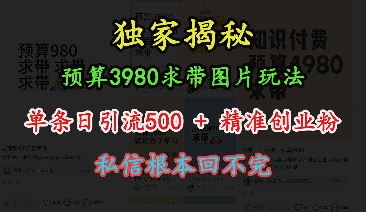 “小红书”预算3980求带 图片玩法，单条日引流500+精准创业粉，私信根本回不完