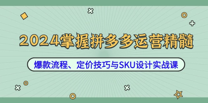 图片[1]-2024掌握拼多多运营精髓：爆款流程、定价技巧与SKU设计实战课