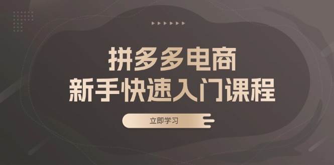 图片[1]-拼多多电商新手快速入门课程：涵盖基础、实战与选款，助力小白轻松上手