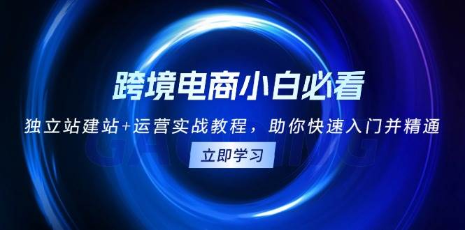 图片[1]-跨境电商小白必看！独立站建站+运营实战教程，助你快速入门并精通