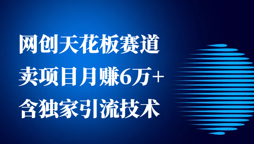 图片[1]-网创天花板赛道，卖项目月赚6万+，含独家引流技术（共26节课）